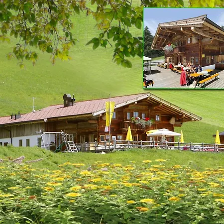 Salvenalm Tatil Evi Hopfgarten im Brixental