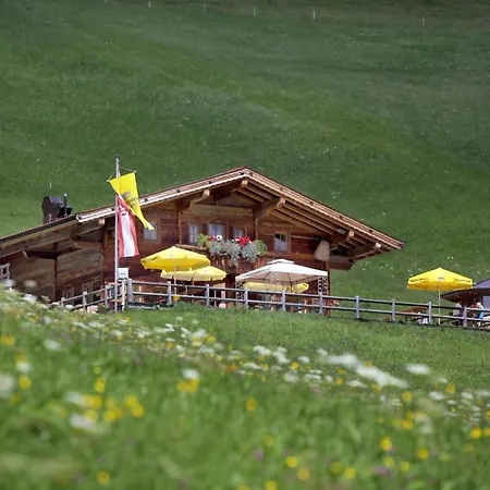 Salvenalm Hopfgarten im Brixental
