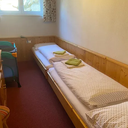 Salvenalm * ホップフガルテン・イム・ブリクセンタール